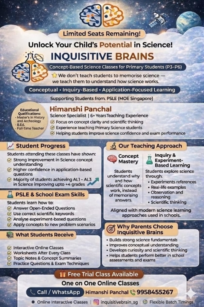 Inquisitive Brains Academy Flyer